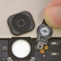 Замена/ремонт шлейфа кнопки «Домой» iPhone 6